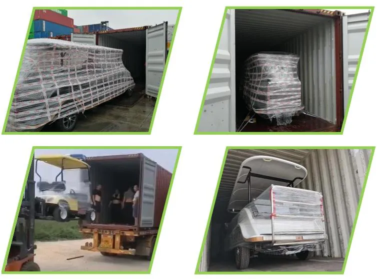 Raysince Ready to Ship Electric Car Cheap Price Latest Model Golf Cart Car