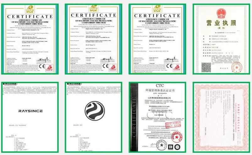 Raysince Ready to Ship Electric Car Cheap Price Latest Model Golf Cart Car