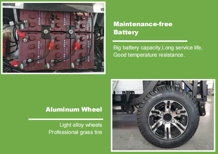 Raysince Ready to Ship Electric Car Cheap Price Latest Model Golf Cart Car