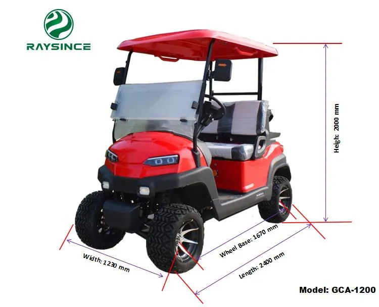 Raysince Ready to Ship Electric Car Cheap Price Latest Model Golf Cart Car