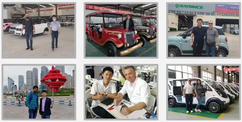Raysince Ready to Ship Electric Car Cheap Price Latest Model Golf Cart Car