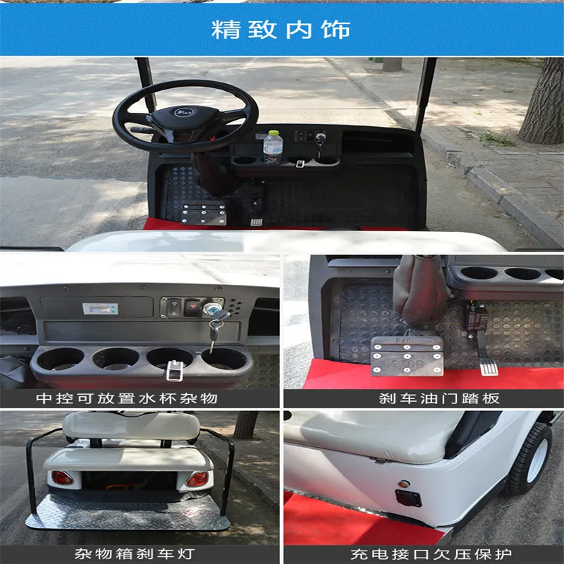 Raysince with Rain Cover Golf Trolly Shuttle Airport to Hotel for Passengers electric Golf Car