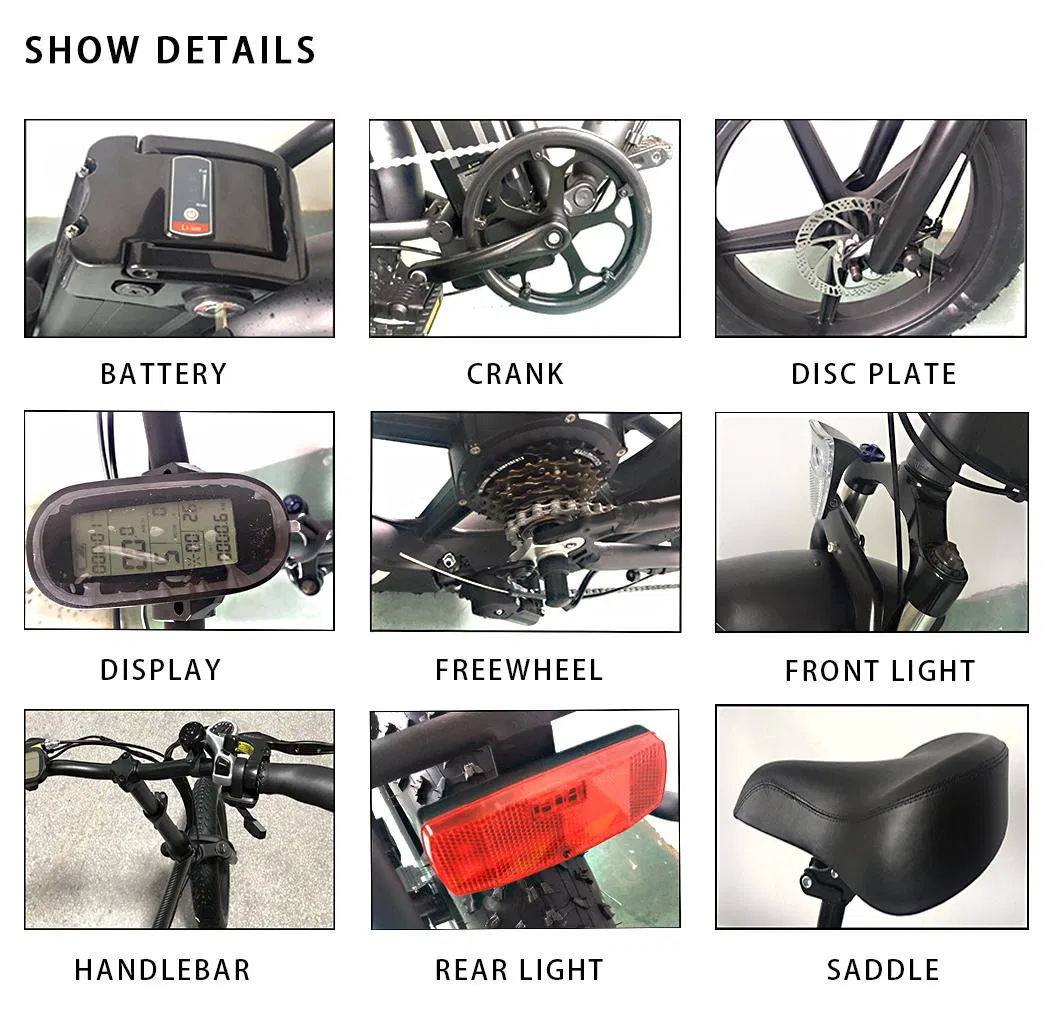 Rear Drive 48V 250W Fat Tyre Electric Bicycle Snow Bike for Adults