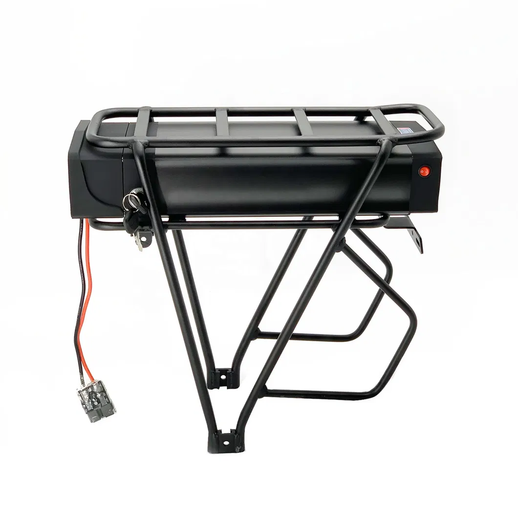 Rechargeable and Factory Supply 48V 20ah E-Bike/Bicycle /Scooter Lithium Ion Battery Pack for Electric Bike