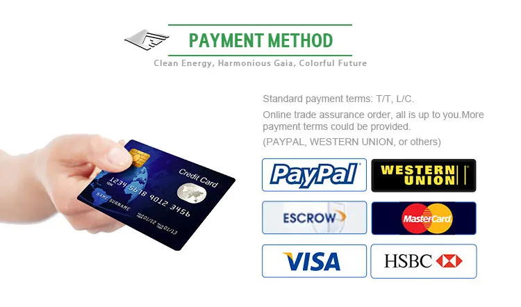 Right Hand and Left Hand All Possible Wiith DOT EEC Certificated L7e/L6e 4/2 Seaters Electric Cars