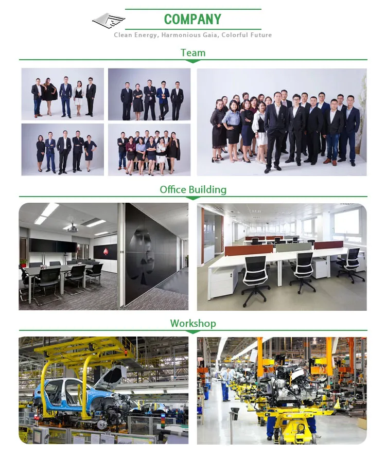 Right Hand and Left Hand All Possible Wiith DOT EEC Certificated L7e/L6e 4/2 Seaters Electric Cars