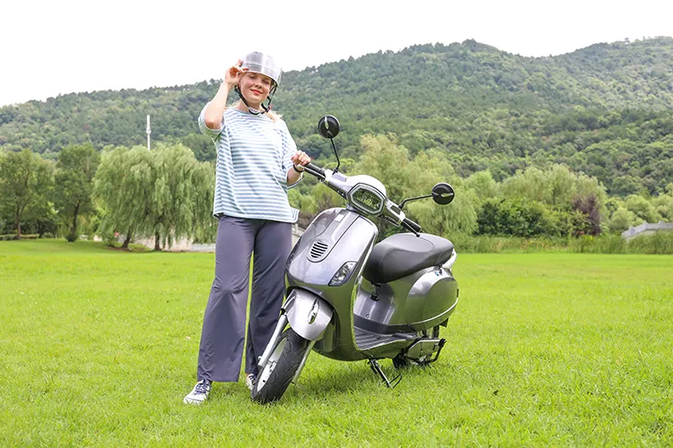 Roman Holiday Vespa Vintage Electric Motorcycle CKD/SKD/CBU Packaging 800W/1000W Motor Electric Scooter Moped