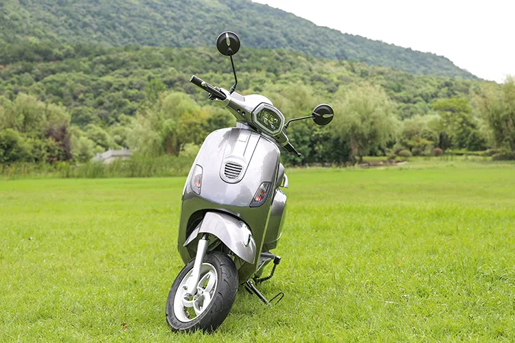 Roman Holiday Vespa Vintage Electric Motorcycle CKD/SKD/CBU Packaging 800W/1000W Motor Electric Scooter Moped