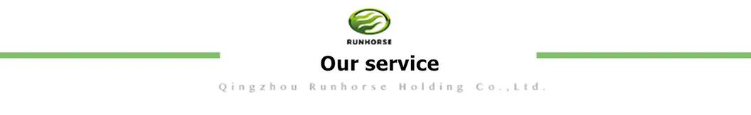 Runhorse EEC L7e 4000W Small Electric RC Truck for Sale