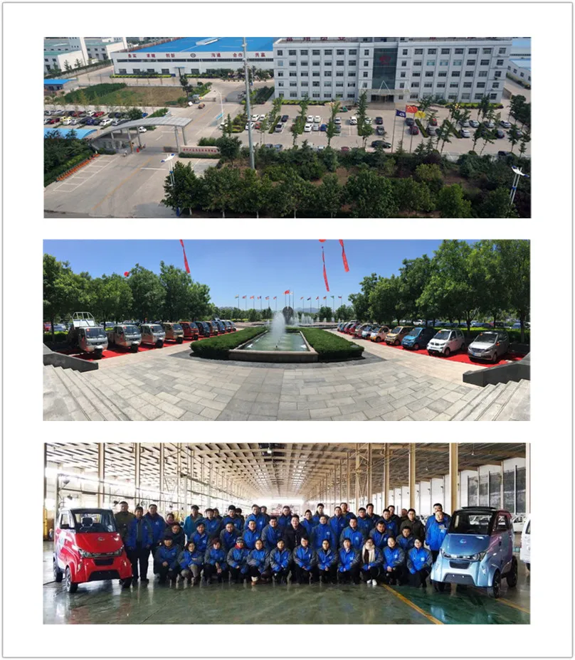 Runhorse EEC Mini Electric Land Cruiser Pickup for Sale