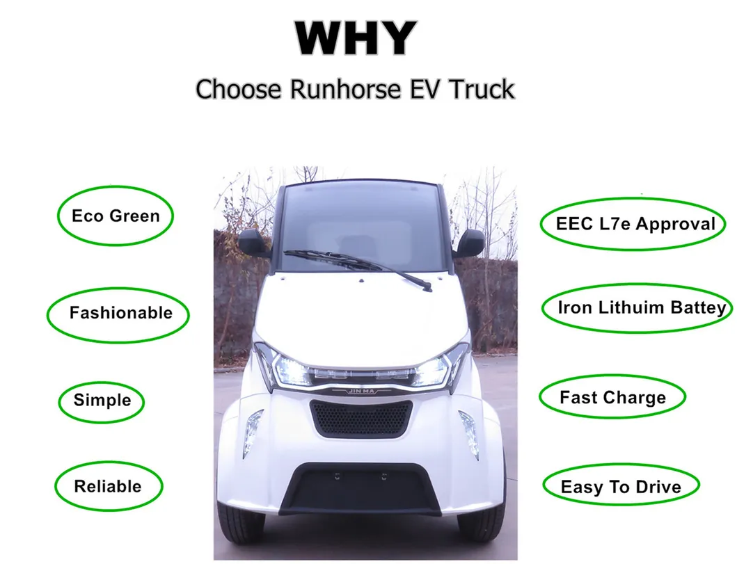 Runhorse Electric New Delivery Cars for Sale Automatic Luxury