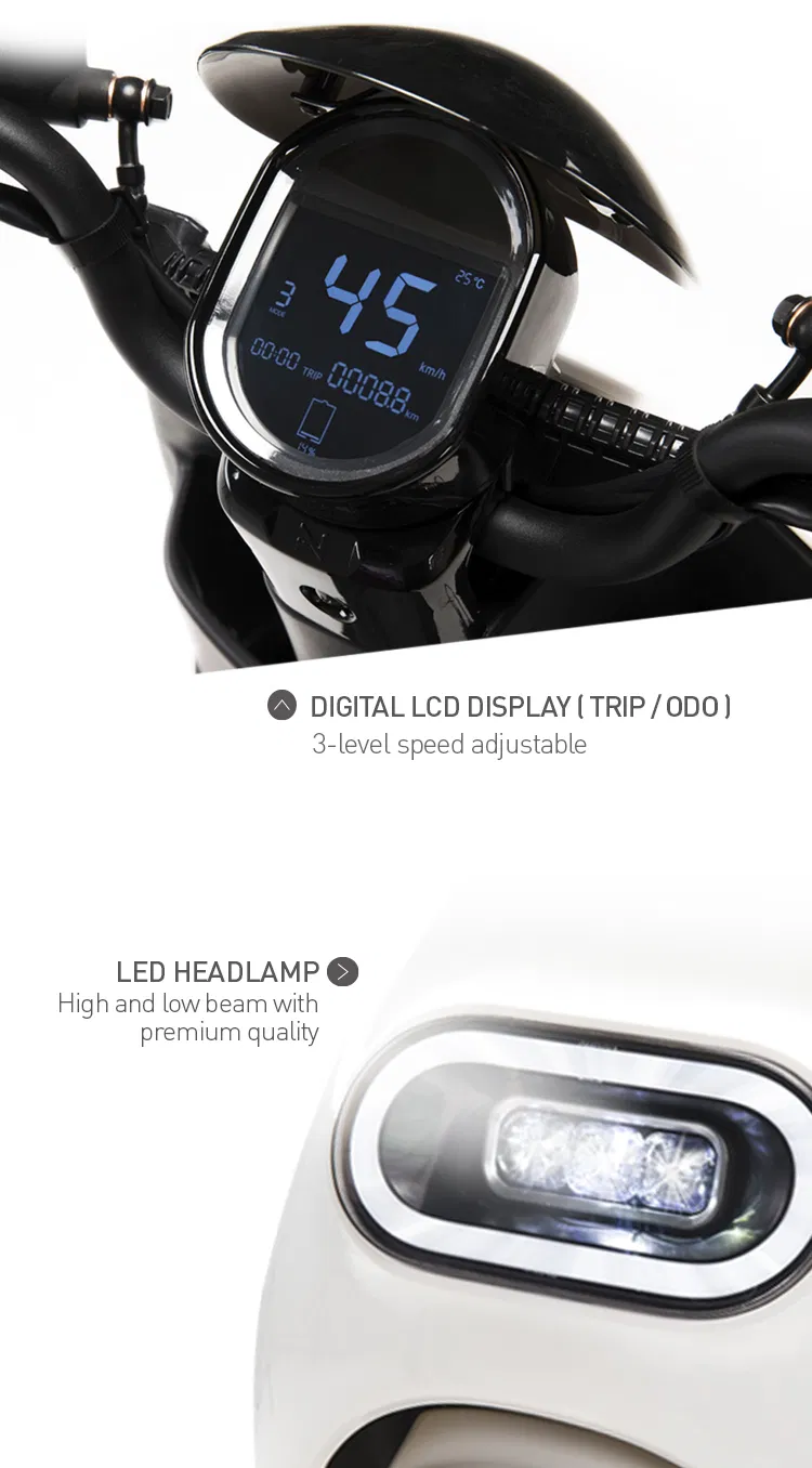 Self Design of 2020 Most Famous 2000W Electric Motorcycle with Disc Brake for European