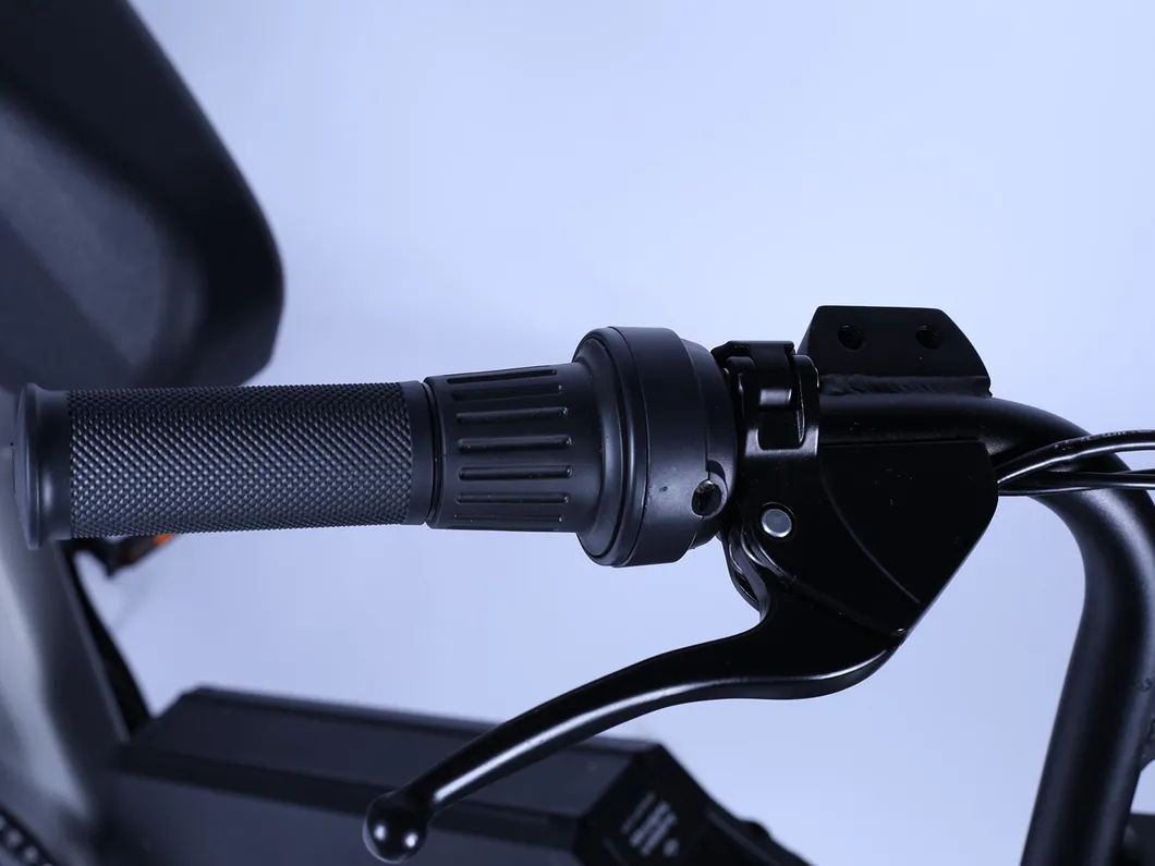 Shared Ebike Reliable Sharing Electric Bicycle with GPS Iot Module