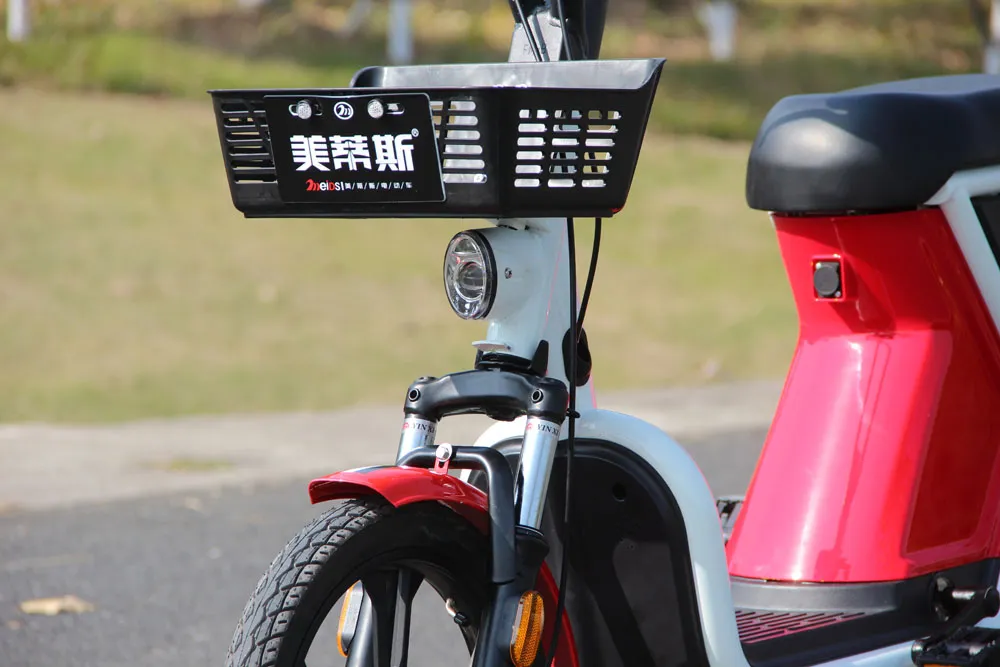 Shared Electric Bike for Rental