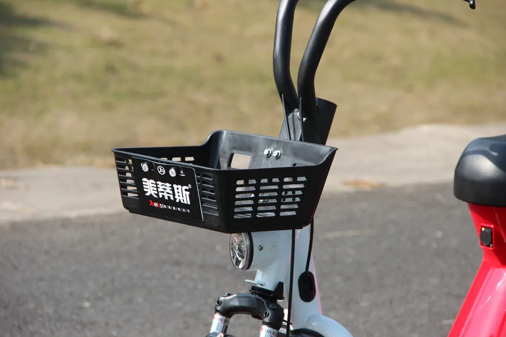 Shared Electric Bike for Rental