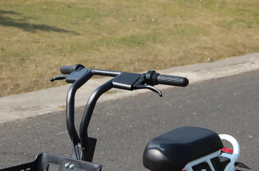 Shared Electric Bike for Rental