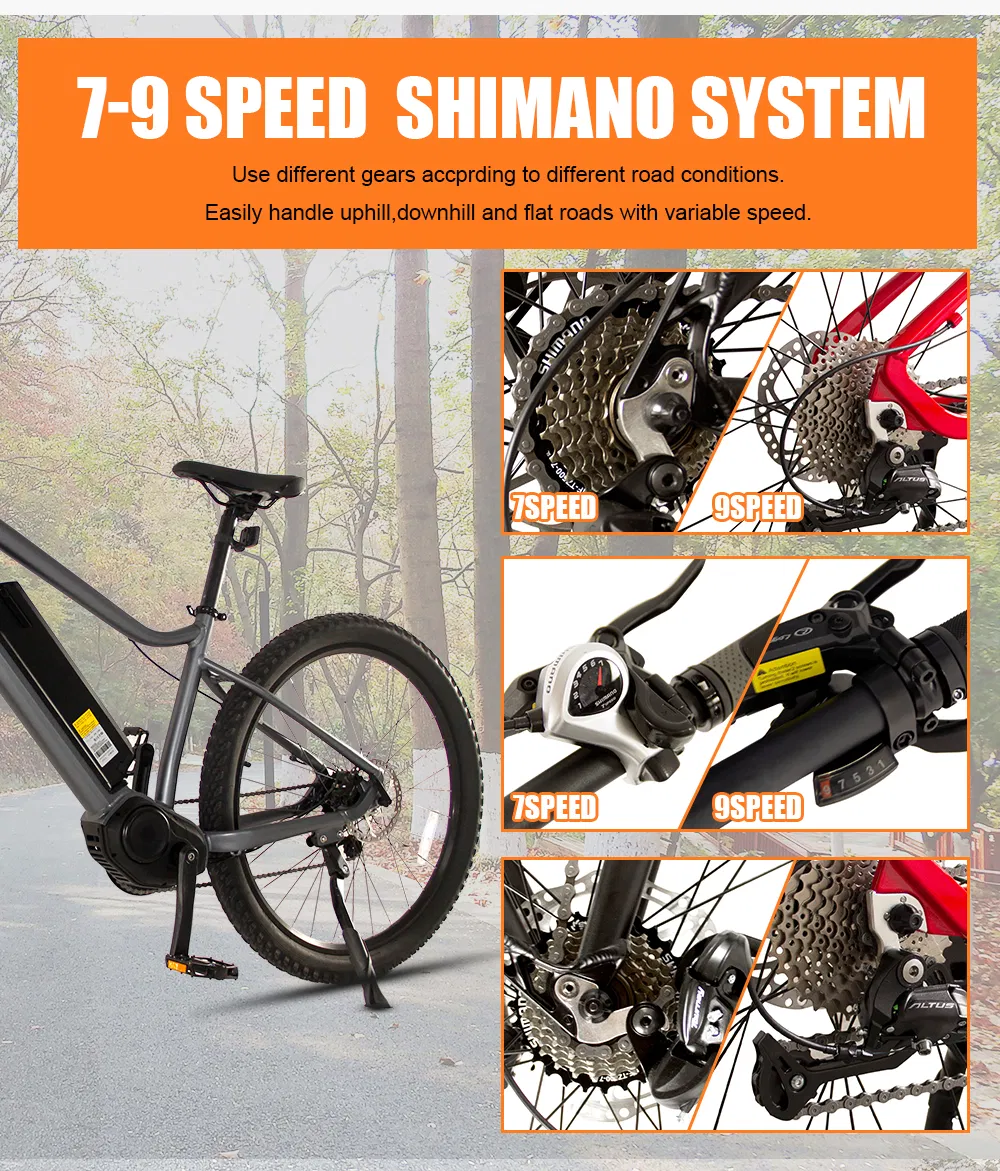 Shark 35km/H Competitive Price 500W 48V Electric Bike with LCD Display