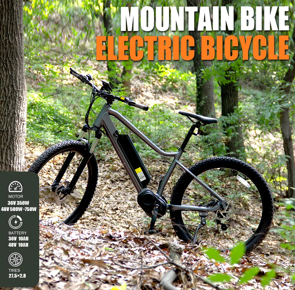 Shark 35km/H Competitive Price 500W 48V Electric Bike with LCD Display