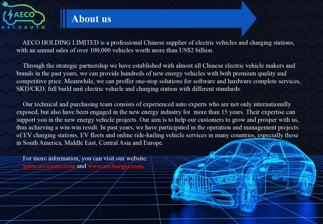 Simple Operate SUV Family Use New Energy Car Cheap Electric Car Wholesale Online