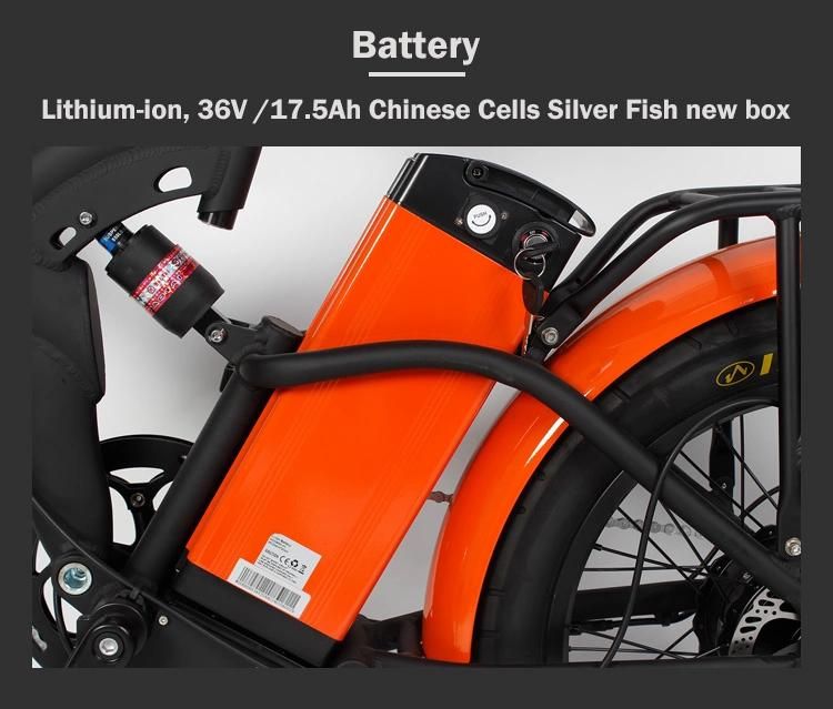 Speed Sensor Aluminum Mountain Ebike Electric Bicycle