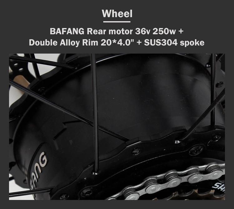 Speed Sensor Aluminum Mountain Ebike Electric Bicycle