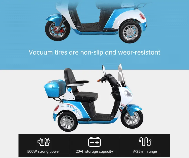 T418 Adult 3 Wheel Electric Scooter 10 Inch Electric Tricycle with Fashion Appearance