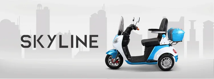 T418 Adult 3 Wheel Electric Scooter 10 Inch Electric Tricycle with Fashion Appearance