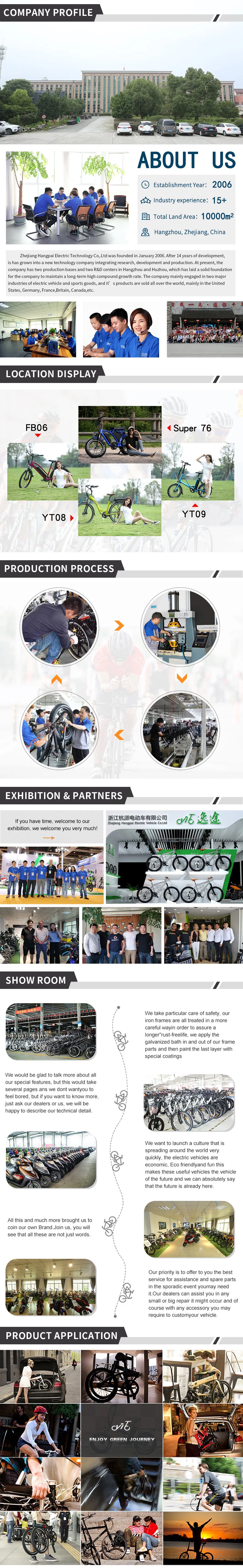 Two Wheel Aluminum Alloy Brushless Motor Lithium Battery Foldable 350W Electric Mobility E Scooter