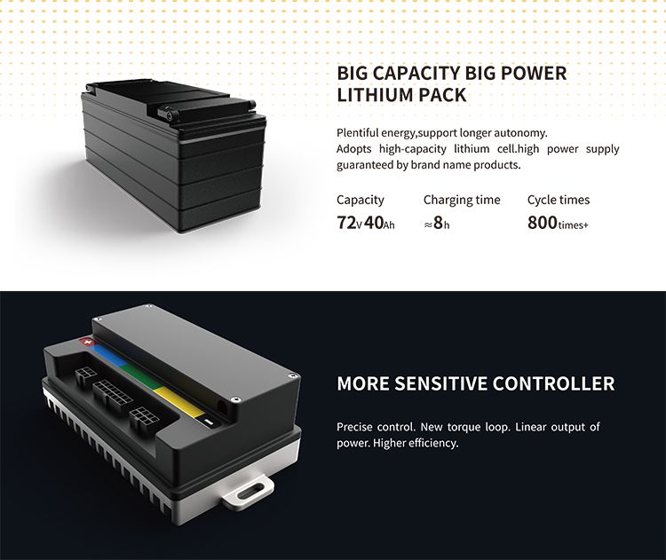 V28 Electric Bicycle Tricycle Reverse Trike Electric Motorcycle Eectric Scooter with EEC