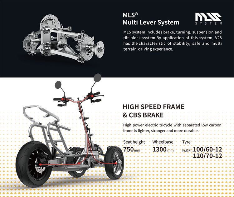 V28 Electric Bicycle Tricycle Reverse Trike Electric Motorcycle Eectric Scooter with EEC