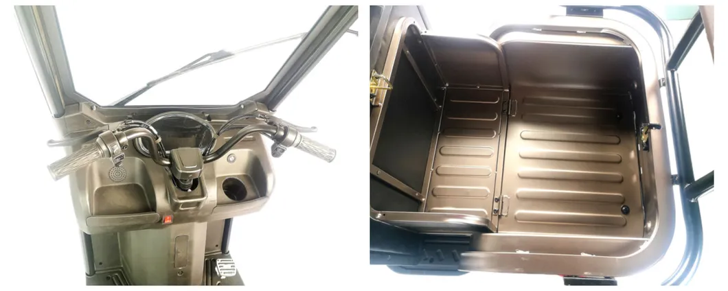 V3 800W Power Three Wheel Electric Tricycle for Elderly People