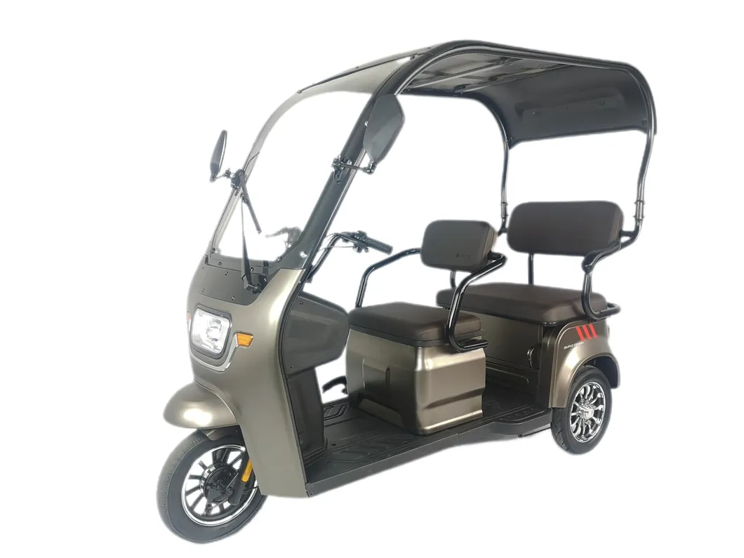 V3 800W Power Three Wheel Electric Tricycle for Elderly People