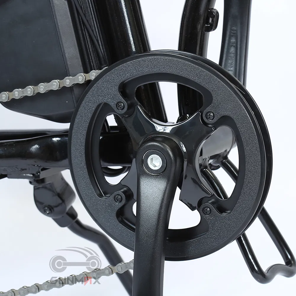 Wellgo Folding Non-Slip Pedal Electric Motorcycle