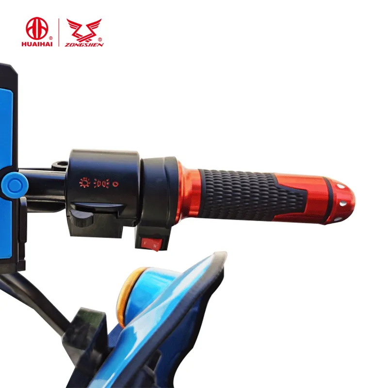 Wholesale 60V/120ah High Power Long Rang Adult Electric Cargo Tricycle From China