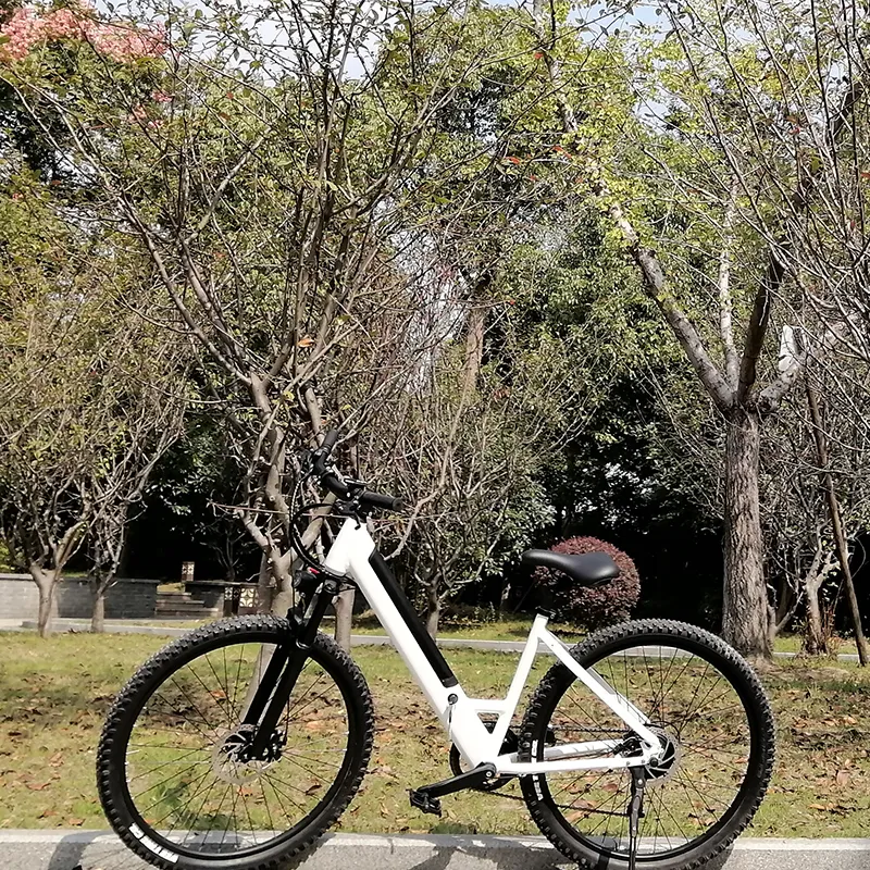 Wholesale China Ebike 36V 350W Mountain Electric Bike Bicycle with Disc Brake City Bike