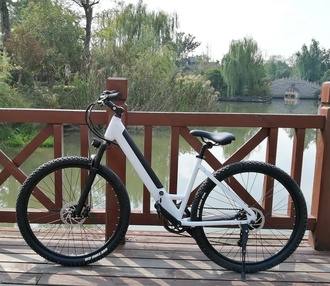 Wholesale China Ebike 36V 350W Mountain Electric Bike Bicycle with Disc Brake City Bike