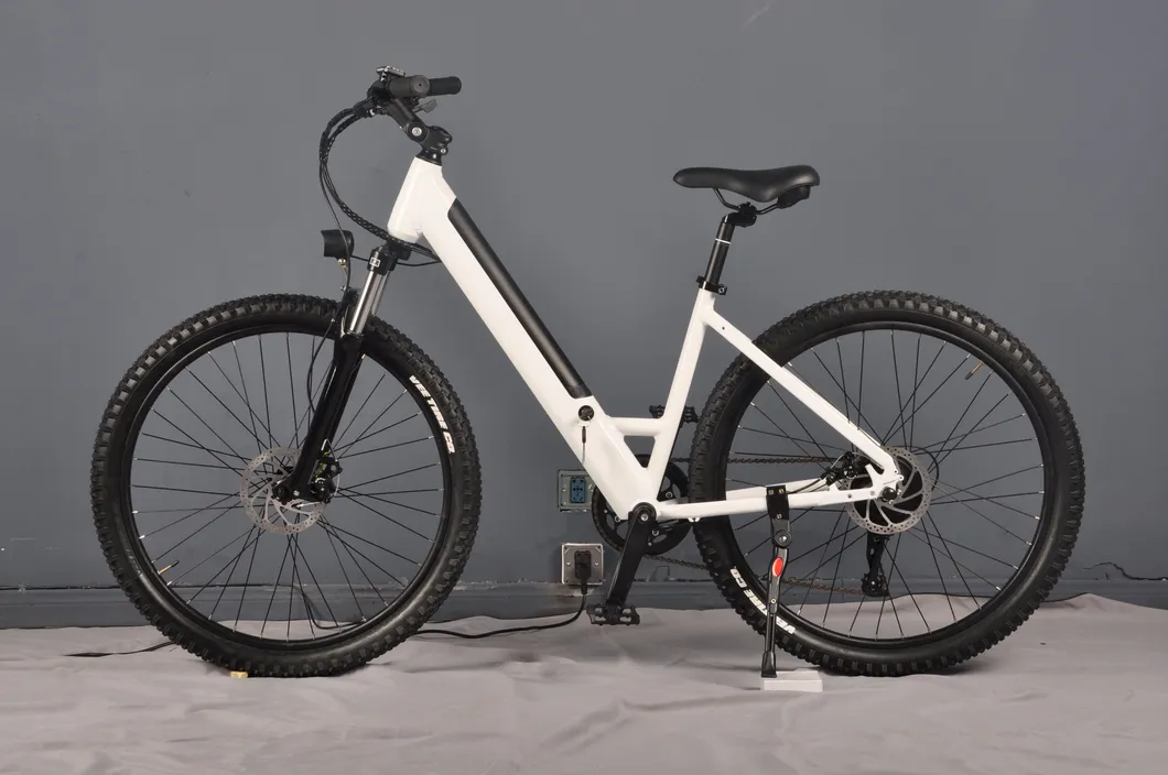 Wholesale China Ebike 36V 350W Mountain Electric Bike Bicycle with Disc Brake City Bike