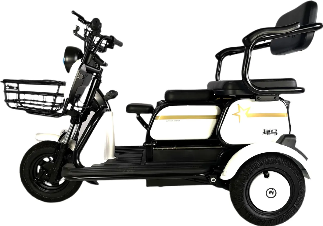 X3 Quality Assurance Lithium-Ion Battery Electric Tricycle with Powerful Motor