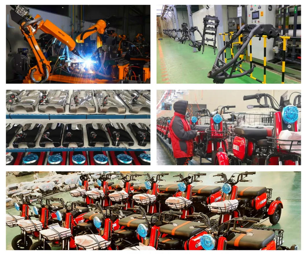 X3 Quality Assurance Lithium-Ion Battery Electric Tricycle with Powerful Motor