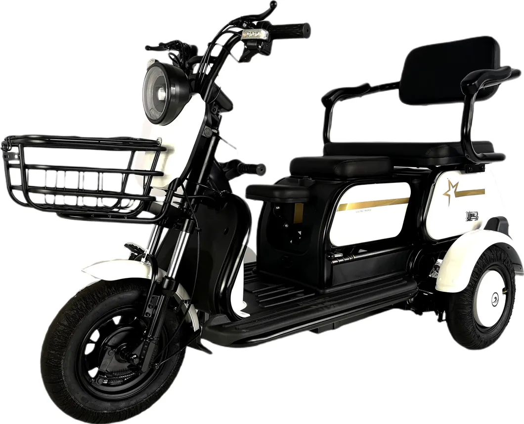 X3 Quality Assurance Lithium-Ion Battery Electric Tricycle with Powerful Motor