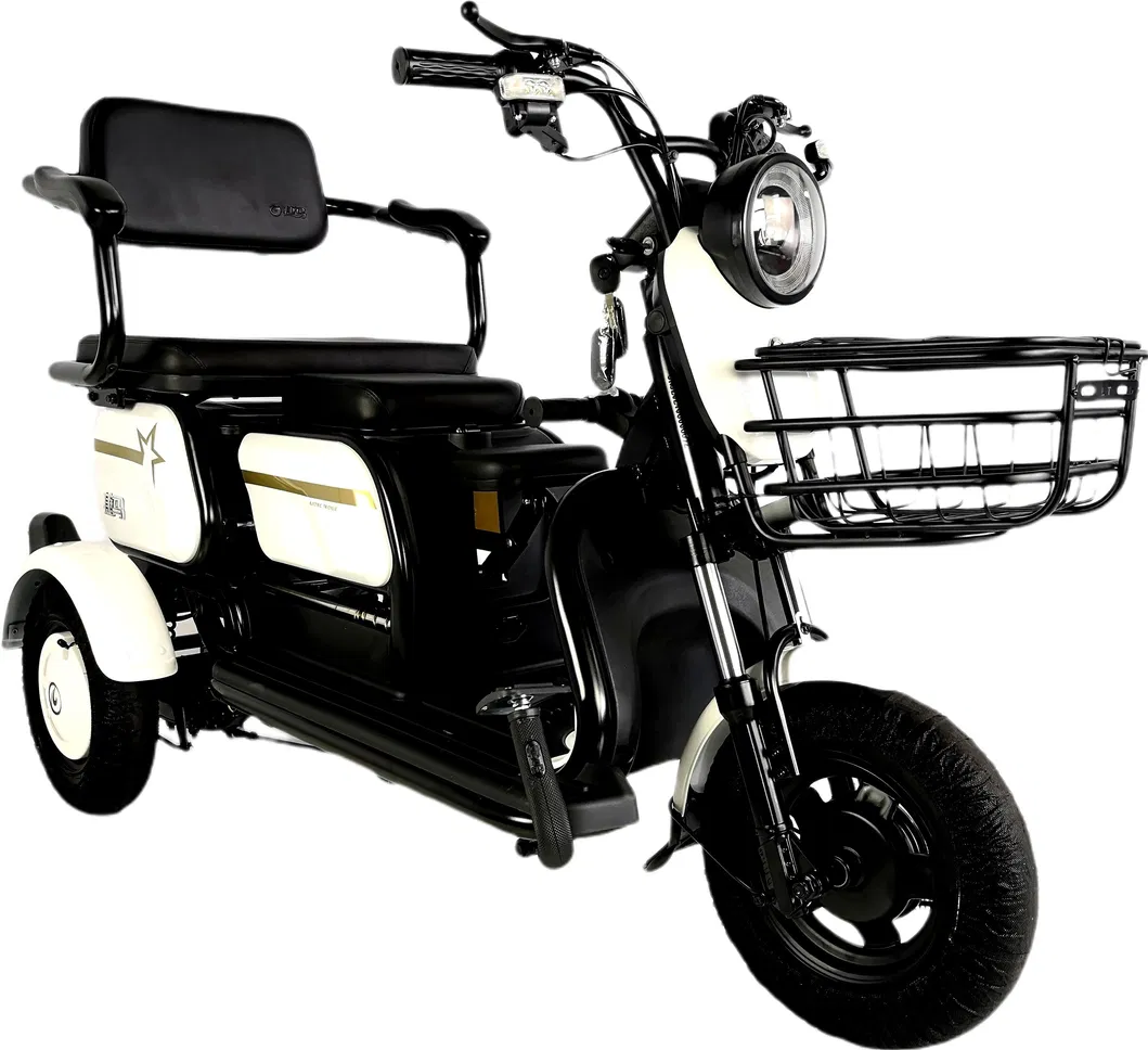 X3 Quality Assurance Lithium-Ion Battery Electric Tricycle with Powerful Motor